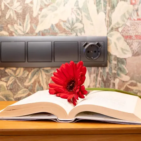 Boutique Playa Burriana